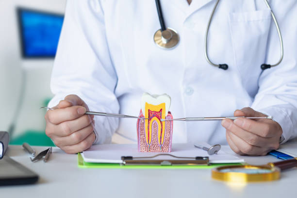 Best Emergency Denture Repair in Vass, NC
